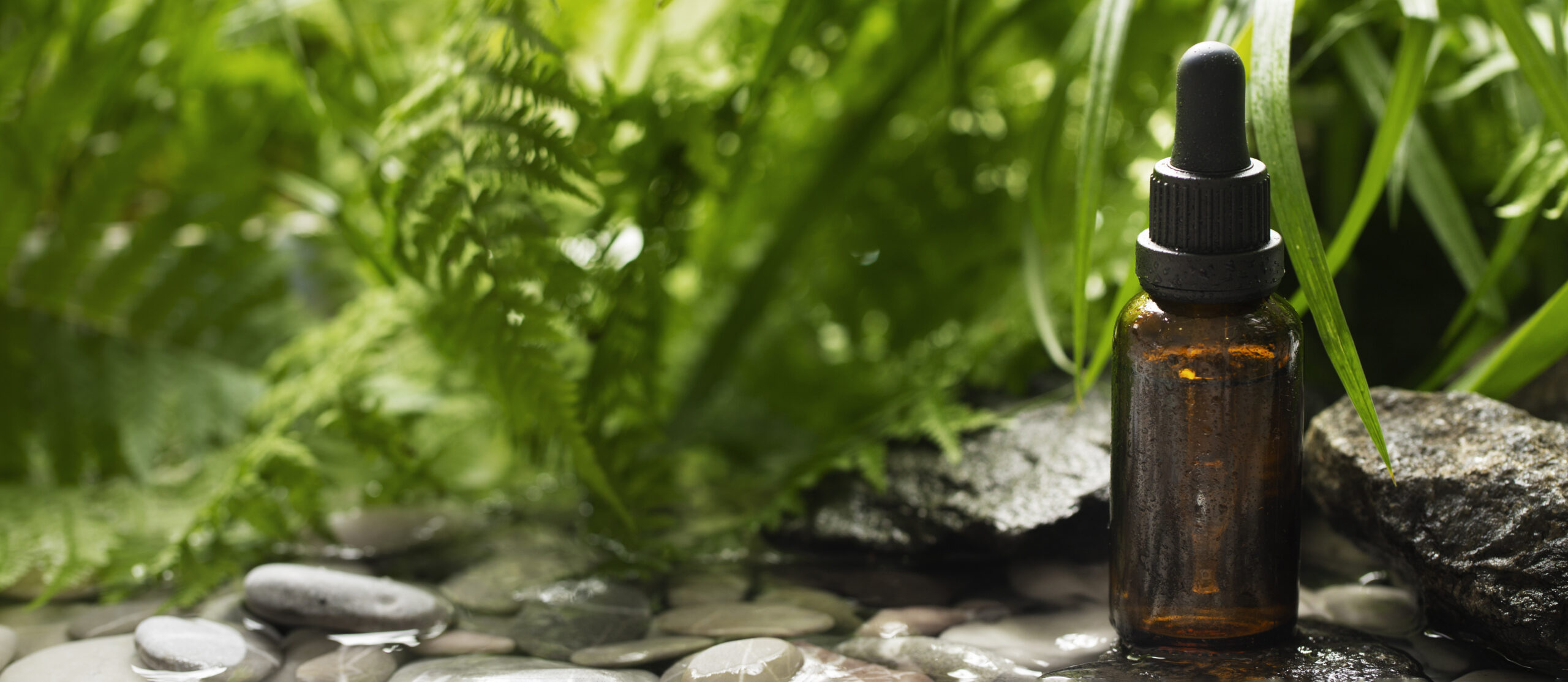 Ayurveda